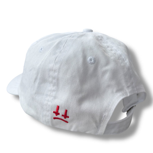 TEENAGE MUTANT NINJA CROSS FACE Stepdad Cap