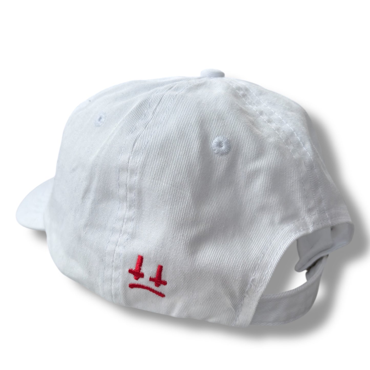 TEENAGE MUTANT NINJA CROSS FACE Stepdad Cap